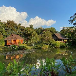 Pura Vida Pai Resort